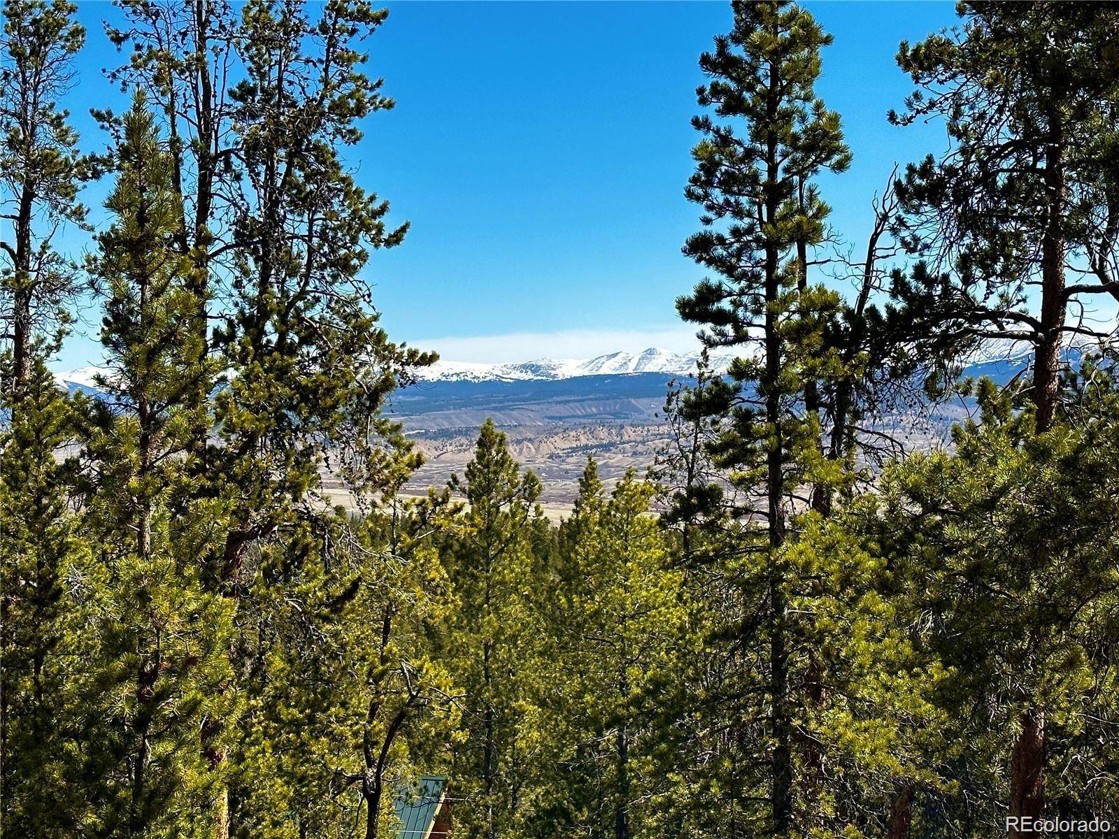 1297 Sequoia DR, Twin Lakes, CO 81251
