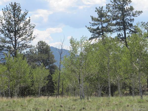 364 Muir Woods TRL, Hartsel, CO 80449