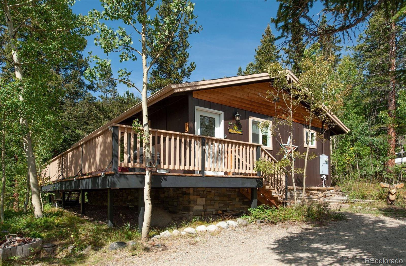 89 Mine RD, Alma, CO 80420