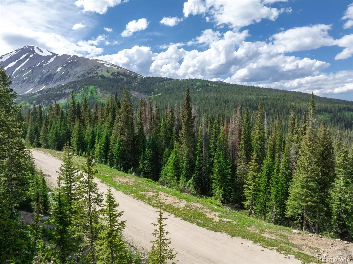 Breckenridge, CO 80424,275 CR 805