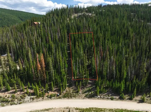 275 CR 805, Breckenridge, CO 80424
