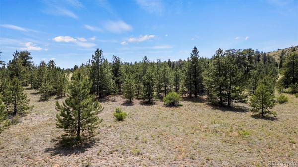 424 Mesa RD, Hartsel, CO 80449