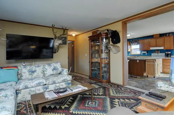 Buena Vista, CO 81211,26794 County Road 320a