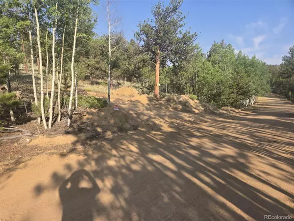 Hartsel, CO 80449,528 Pine LN