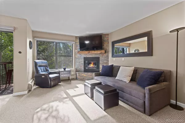 Breckenridge, CO 80424,100 S Park AVE #E321