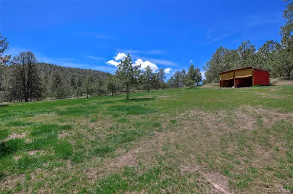 Guffey, CO 80820,201 Campbell LN