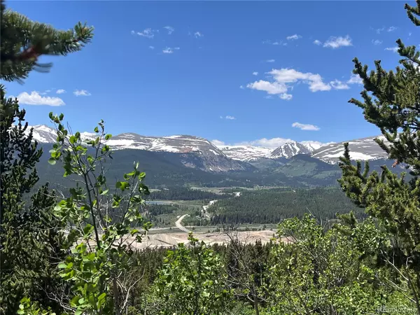 County Road 665, Alma, CO 80420