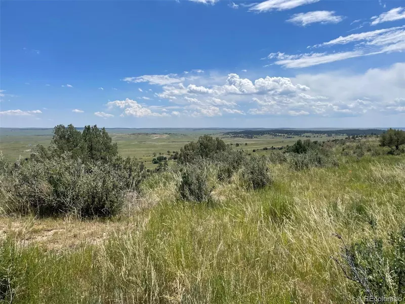 35584 Comanche Creek RD, Kiowa, CO 80117