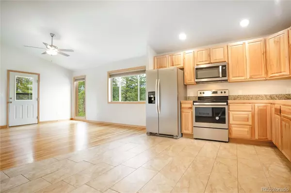 Bailey, CO 80421,1555 Shelton DR