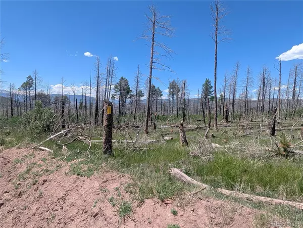Fort Garland, CO 81133,1050 Seawell PL