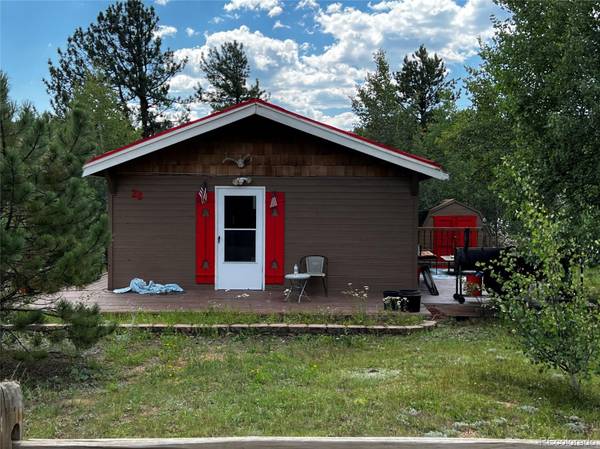 28 Wolf RD, Bailey, CO 80421