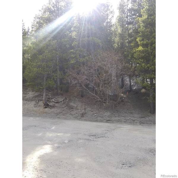 Idaho Springs, CO 80452,680 Alice RD