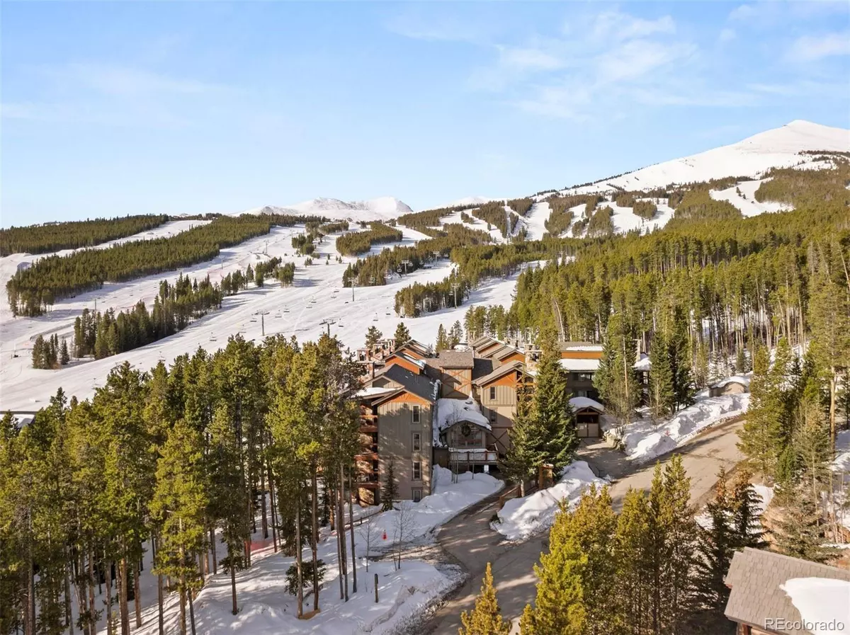 Breckenridge, CO 80424,107 Skiwatch DR #329