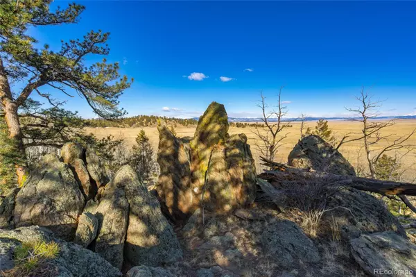 120 Euchee DR, Hartsel, CO 80449