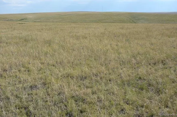 Deer Trail, CO 80105,2215 CR 269