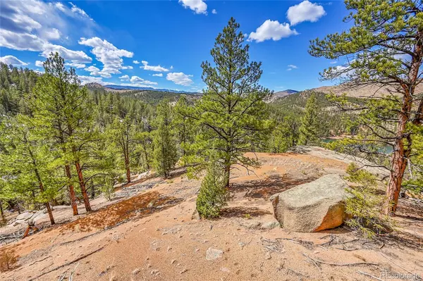 Pine, CO 80470,17016 Icehouse CT