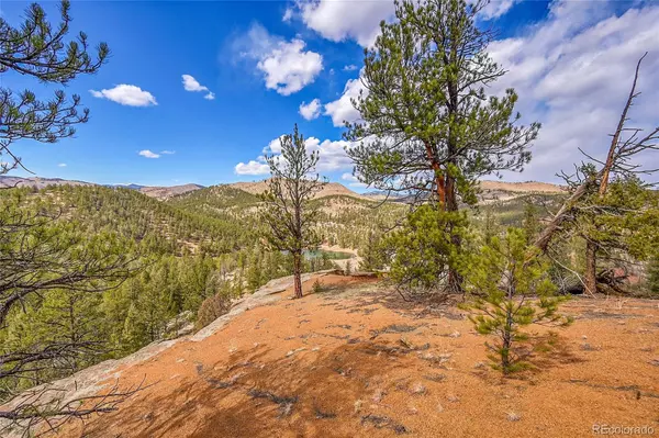 Pine, CO 80470,17016 Icehouse CT