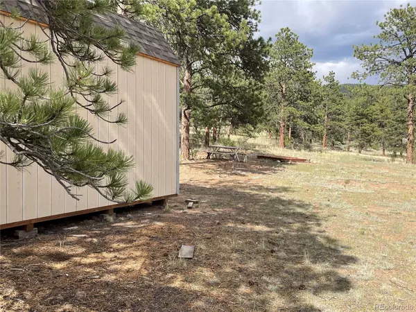 Hartsel, CO 80449,11993 Clear Creek RD