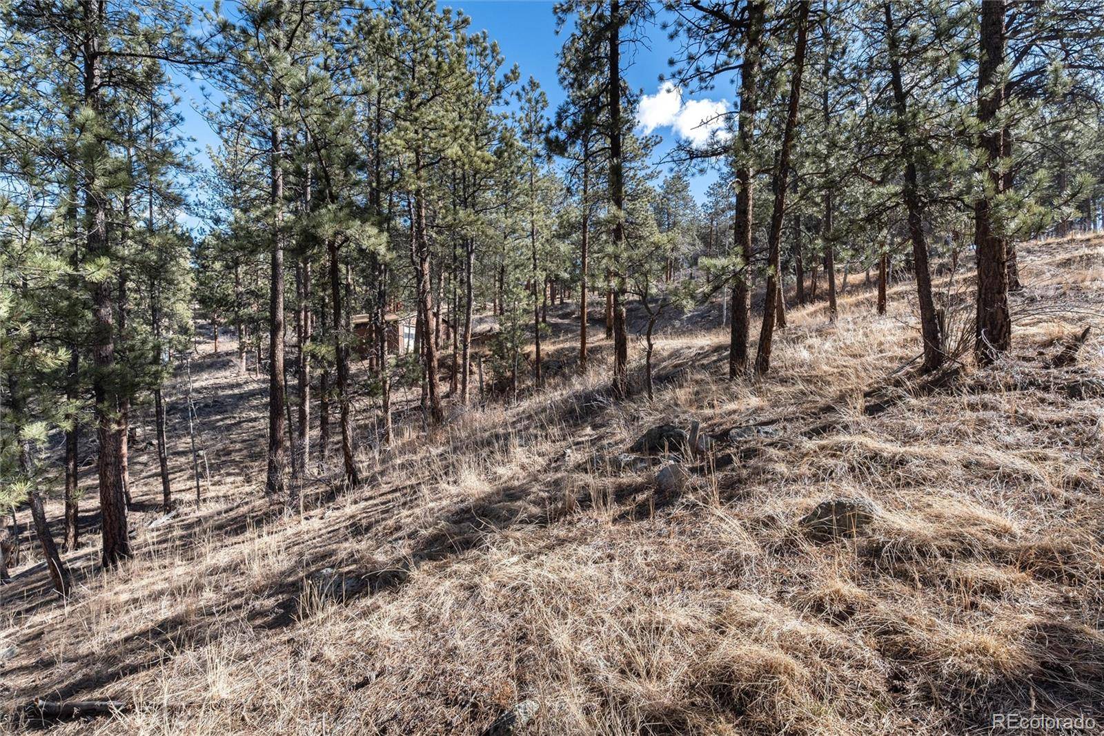 Bailey, CO 80421,Crest CIR