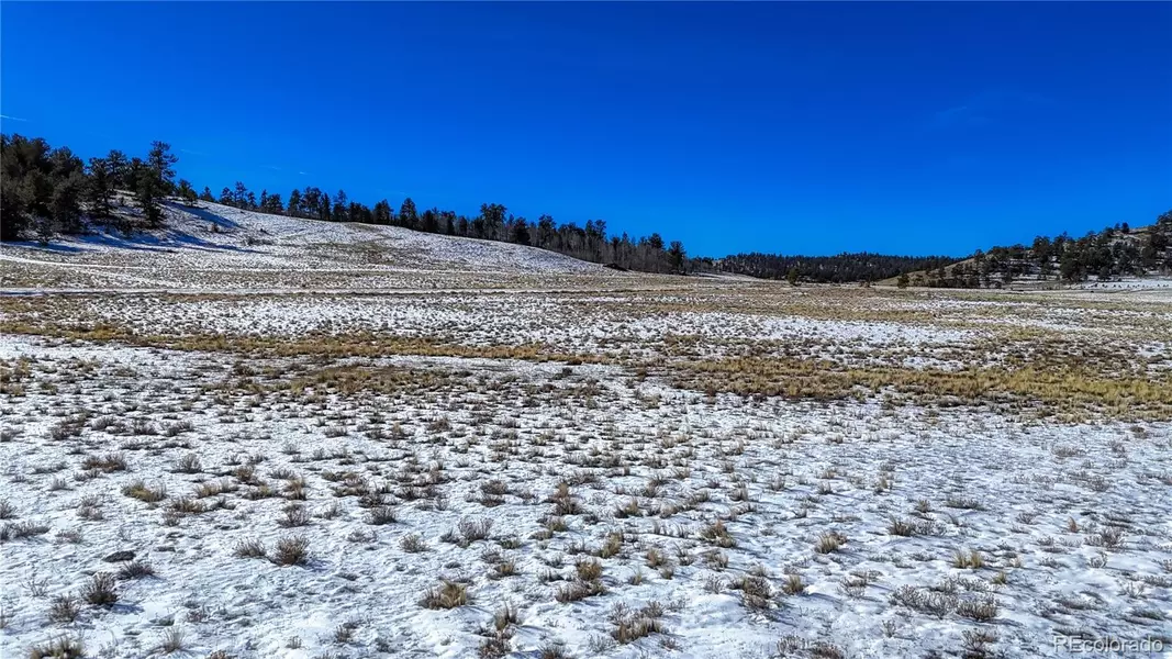 4332 Goldenberg Canyon RD, Hartsel, CO 80449