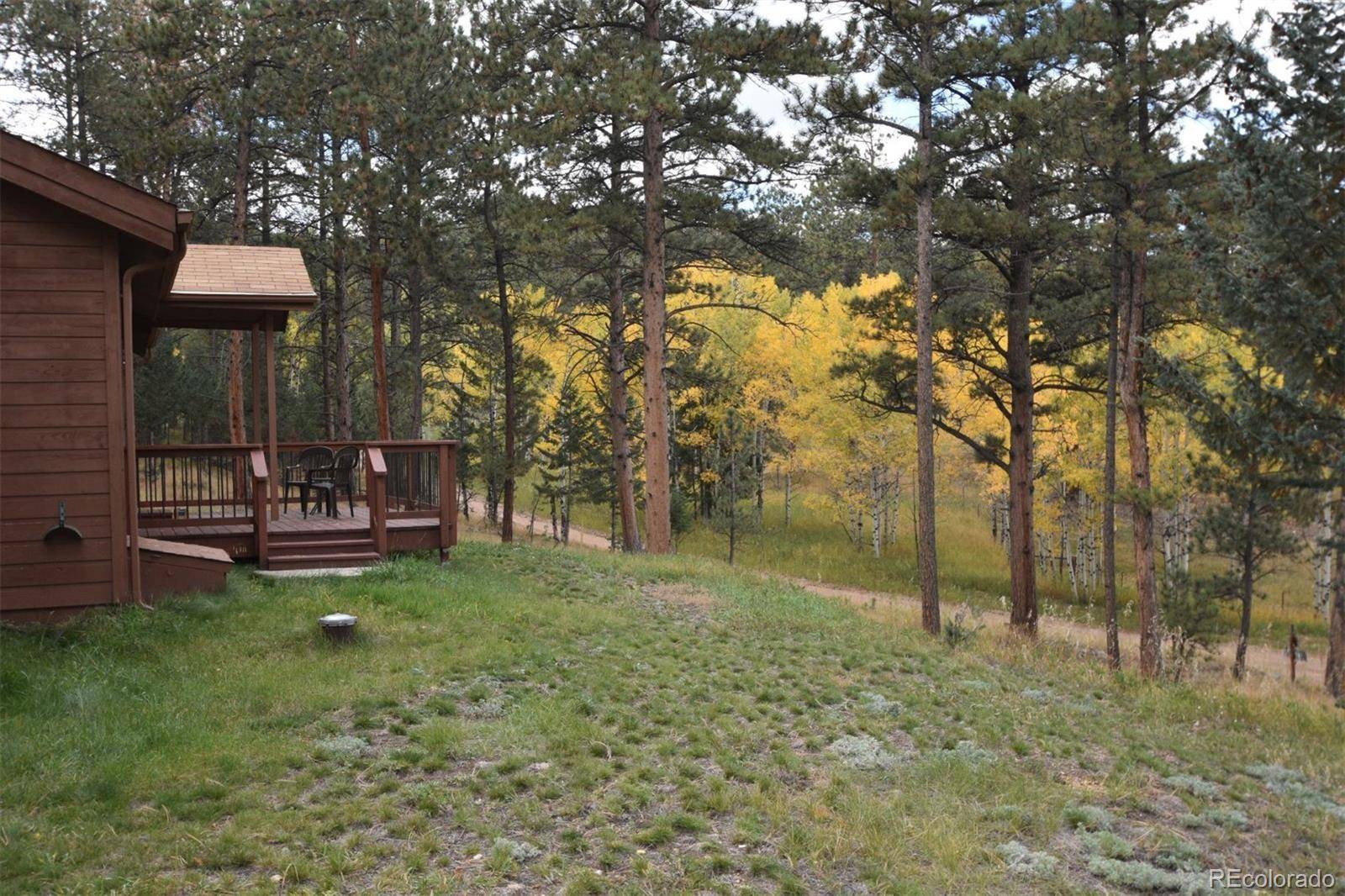 Bailey, CO 80421,14 Aspen DR