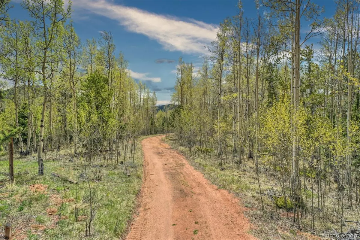 Cripple Creek, CO 80813,12201 S Highway 67