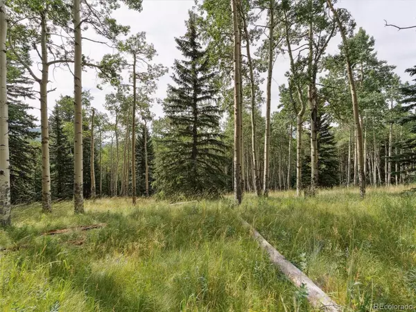 000 Meadowlark DR, Evergreen, CO 80439