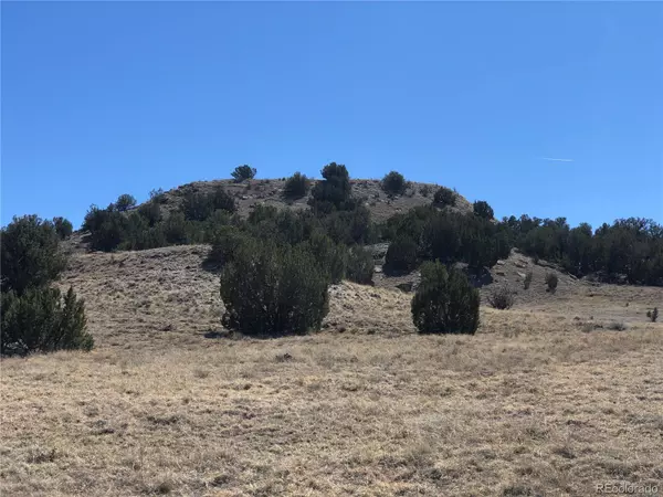 Lot 10 Longhorn Ranch, Model, CO 81059