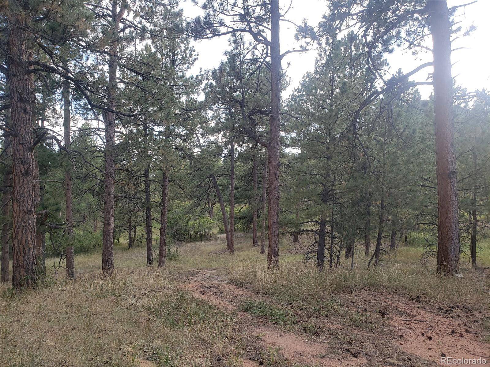 Larkspur, CO 80118,216 Glen WALK