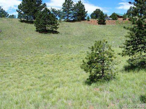 Cripple Creek, CO 80813,172 Cortez Pl