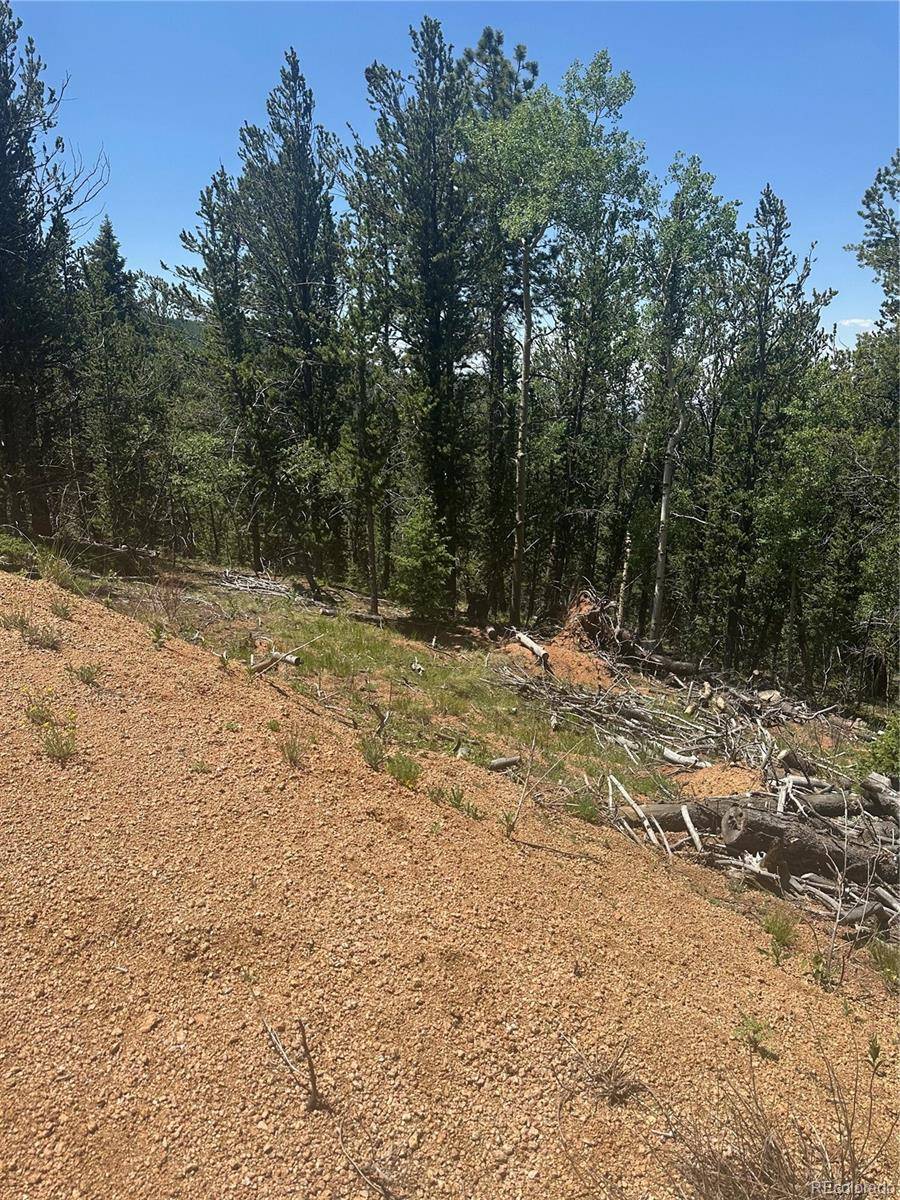 110 Brown Bear LN, Cripple Creek, CO 80813