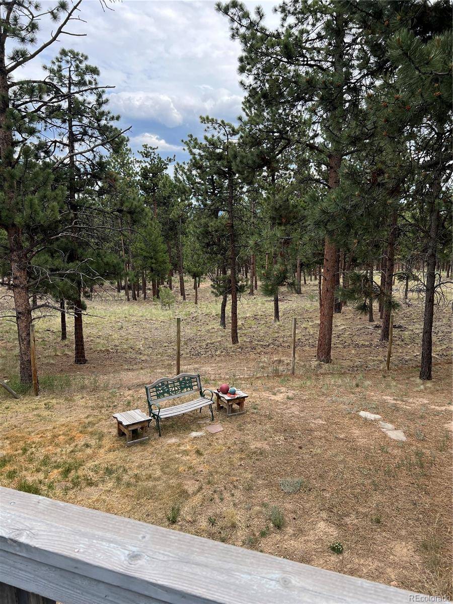Buena Vista, CO 81211,16530 Mt Princeton RD