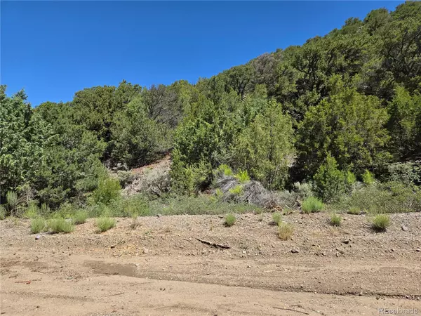 Lot 5046 Joy RD, Fort Garland, CO 81133
