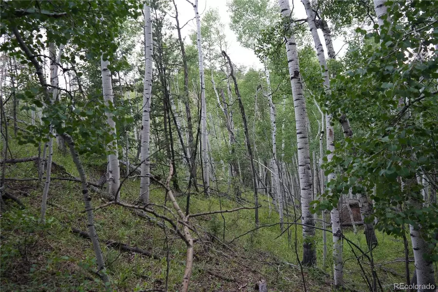 144 Goldfield CT, Cripple Creek, CO 80813