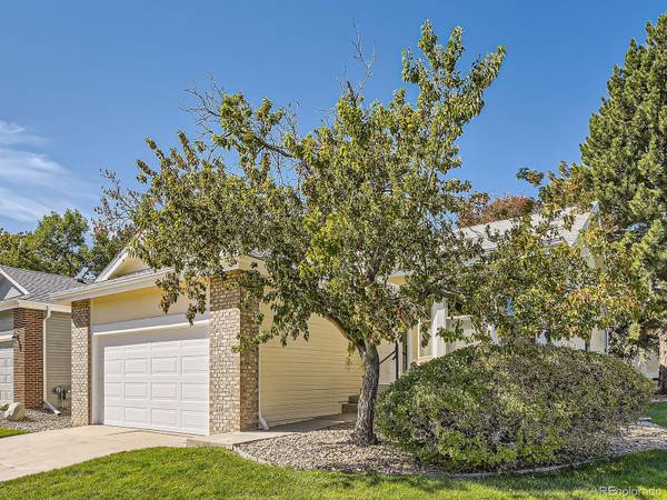 Highlands Ranch, CO 80130,1 Shetland CT