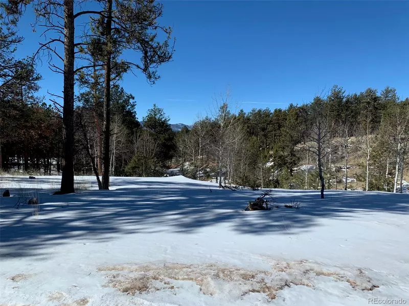 2627 Pikes Peak DR, Florissant, CO 80816