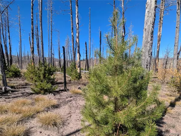 1708 Burgoyne LOOP, Fort Garland, CO 81133