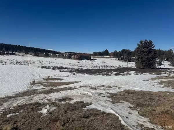 Florissant, CO 80816,163 UINTAH VALE DR
