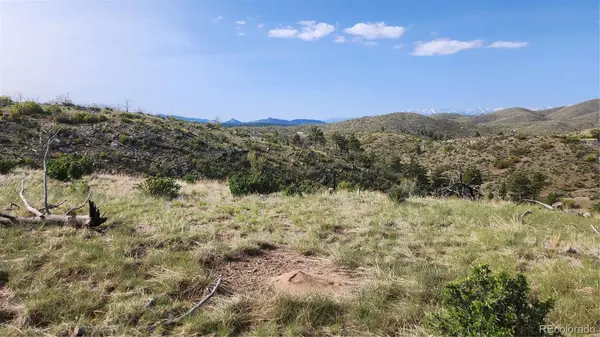 Cotopaxi, CO 81223,56 Kit Carson LN