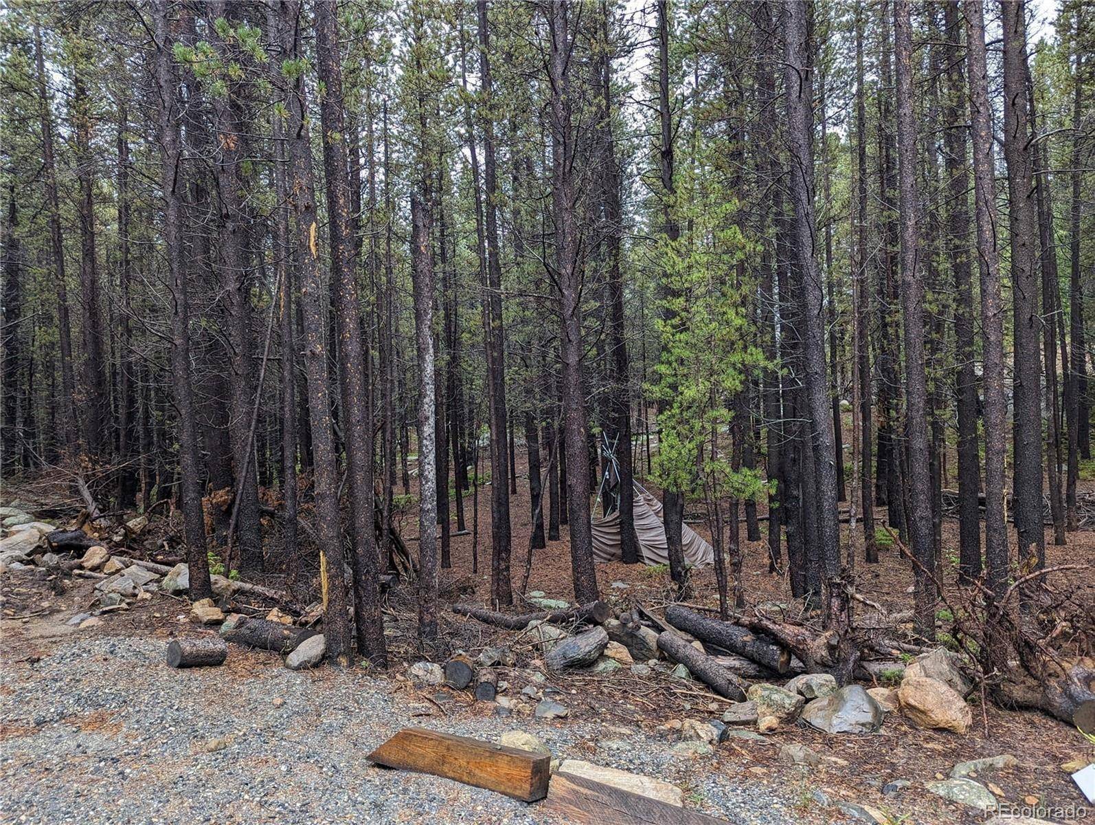 Idaho Springs, CO 80452,Silver Creek RD