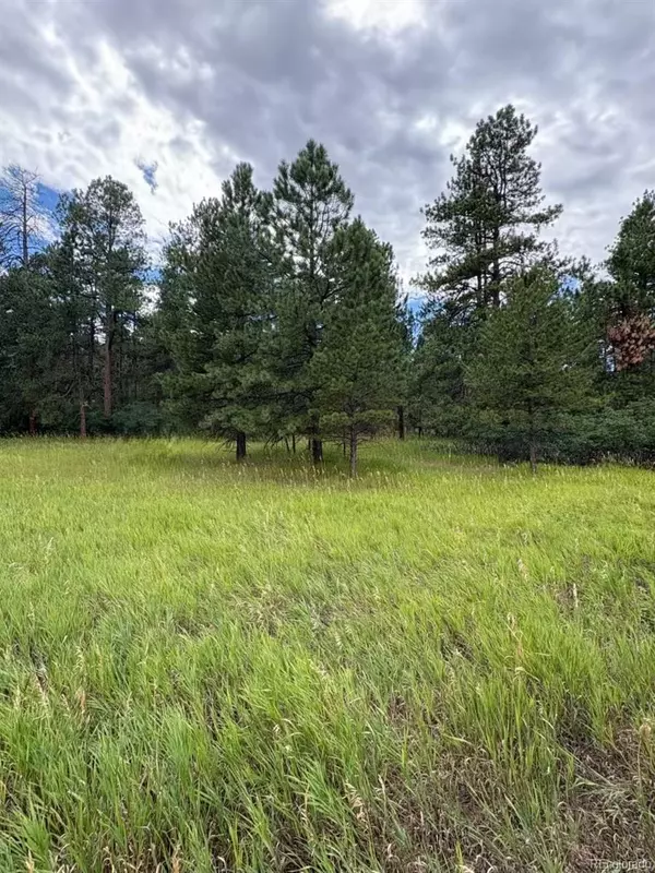 5028 Crow DR, Larkspur, CO 80118