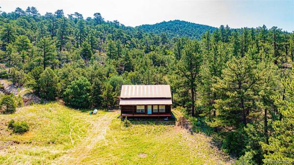 8832 County Road 28, Cotopaxi, CO 81223