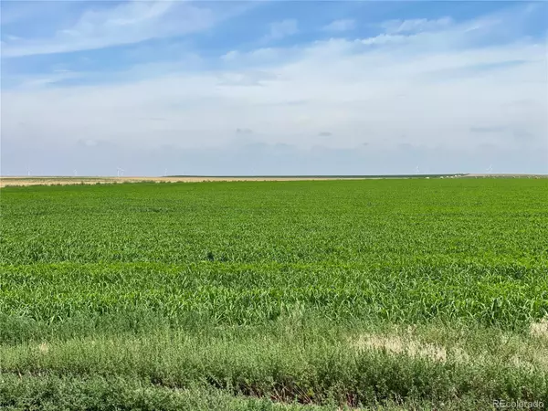 Genoa, CO 80818,County Road 33
