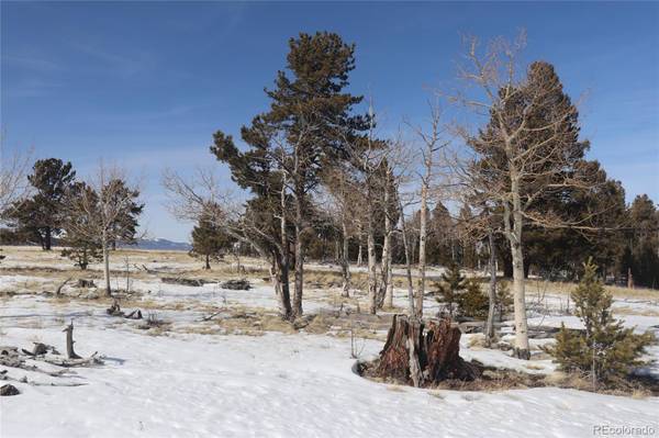 Hartsel, CO 80449,96 Baler CT