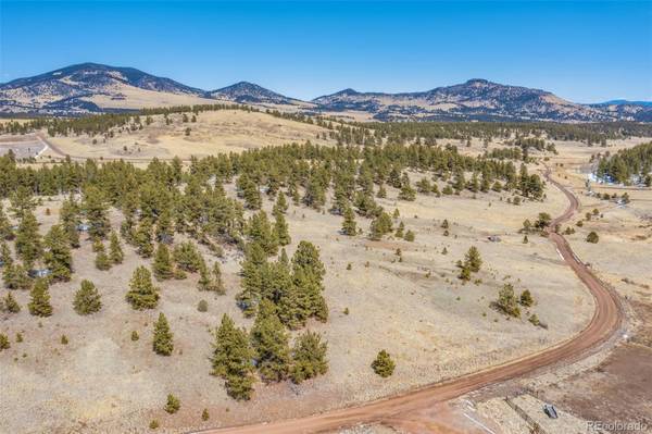 Guffey, CO 80820,141 Tess Trace RD