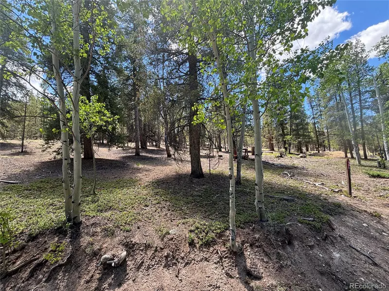 738 Lodgepole DR, Twin Lakes, CO 81251