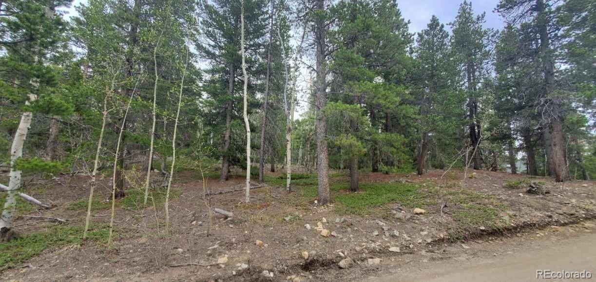 Black Hawk, CO 80422,038 Severance
