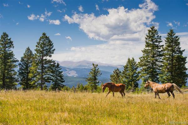 0-#21 Betts Ranch RD, Parker, CO 80134