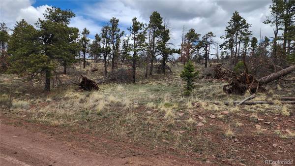 Fort Garland, CO 81133,603 & 604 Leslie LOOP