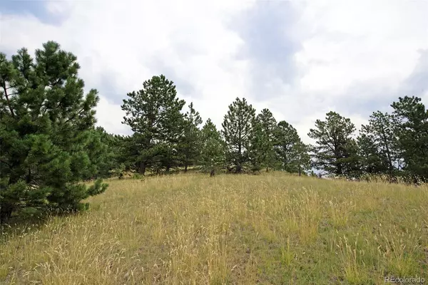 Cripple Creek, CO 80813,726 Copper Mountain DR
